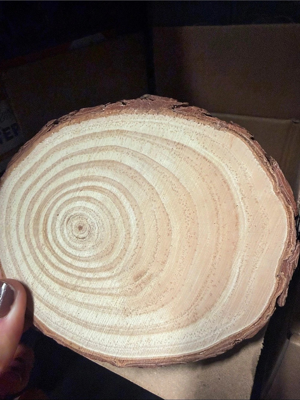 Natural Wood Slice Decor Brown